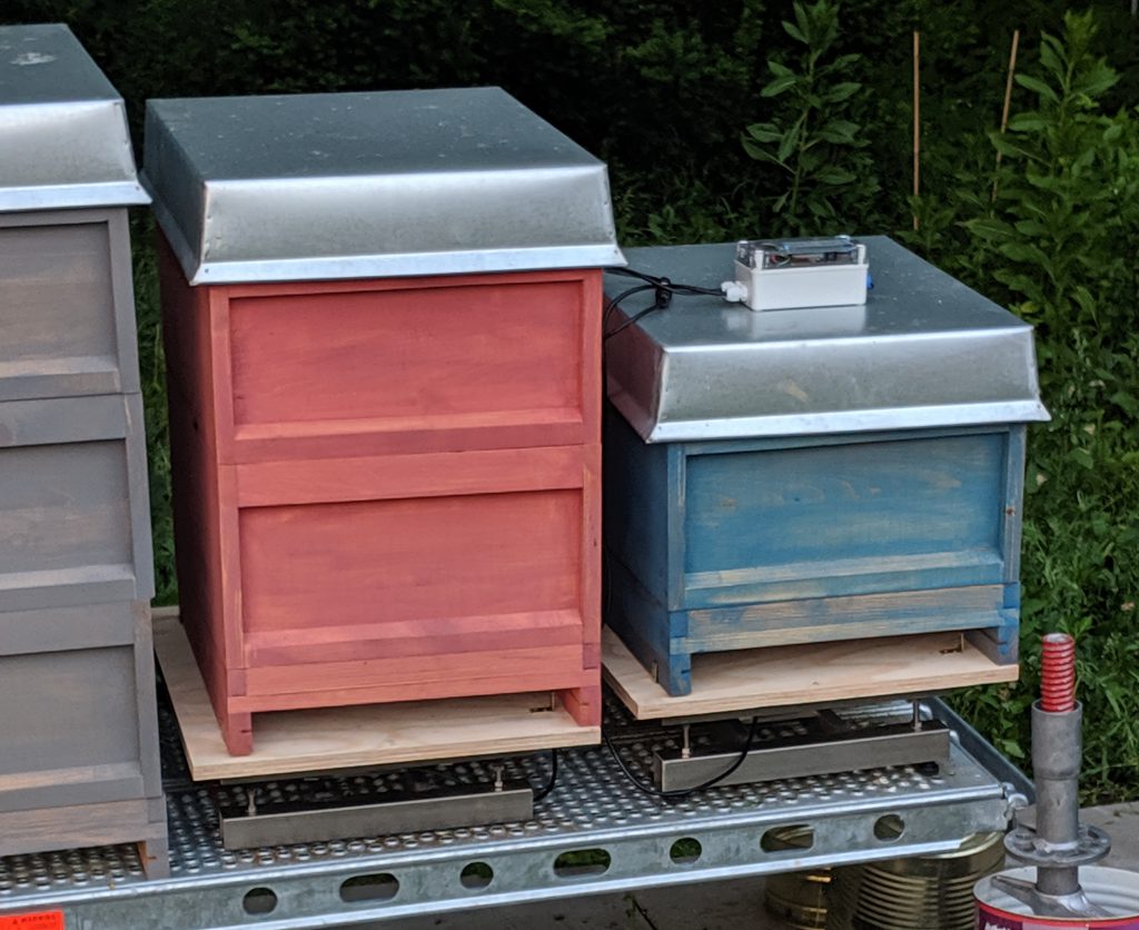 Bienenwaagen unter zwei Beuten